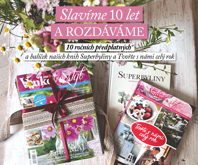 Narozeniny 10 let