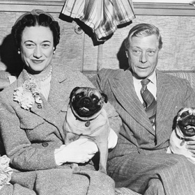 Vévoda a vévodkyně z Windsoru

Bývalý král Edward VIII. a jeho americká manželka Wallis Simpsonová, kvůli které se Edward vzdal trůnu, měli hned několik psů. Jejich velmi oblíbeným plemenem byli teriéři, ale nedali dopustit ani na mopsíky.
