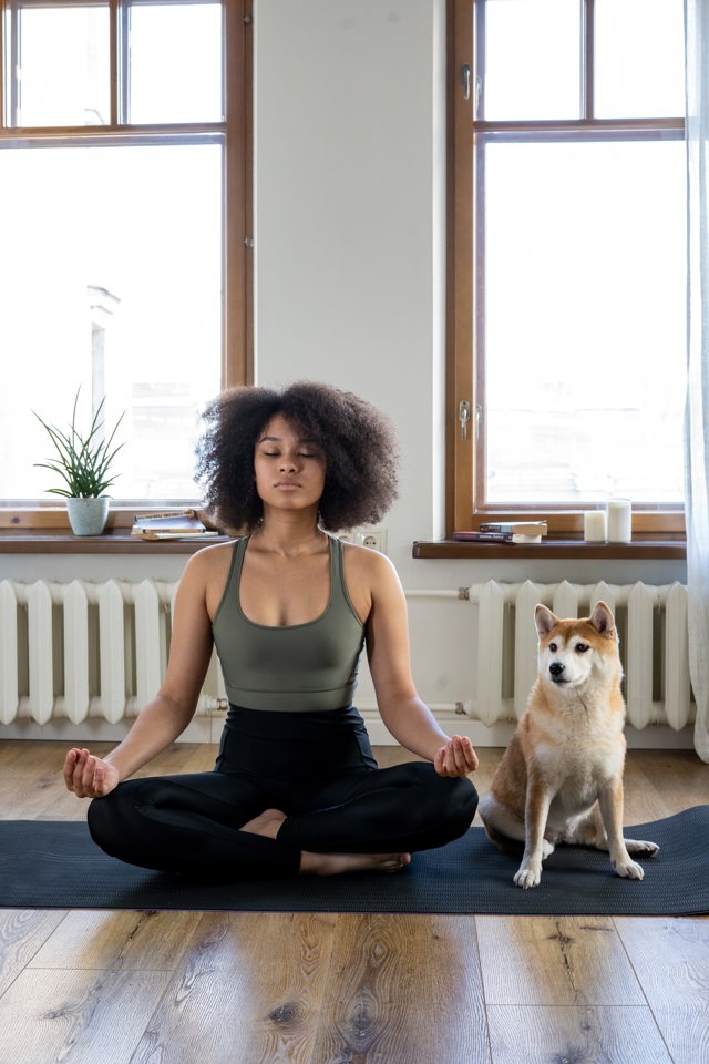 meditace