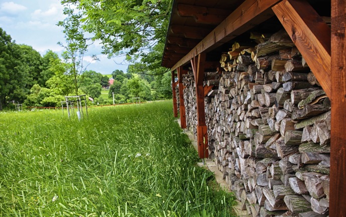 Dřevník js součástí přirozeného oplocení
Dřevník js součástí přirozeného oplocení