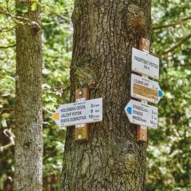 Turistické značky najdeme nejčastěji na stromech
