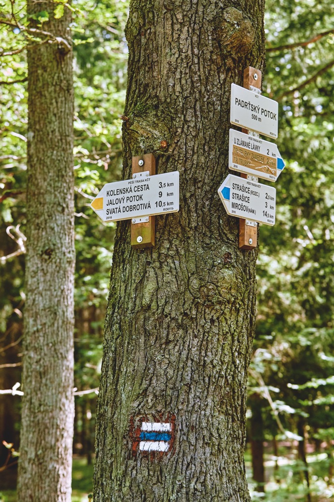 Turistické značky najdeme nejčastěji na stromech
