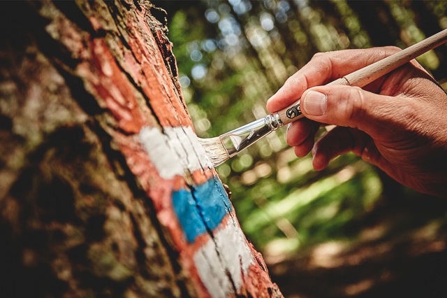  Modrá turistická značka značí trasy významějšího charakteru nebo regionální trasy
