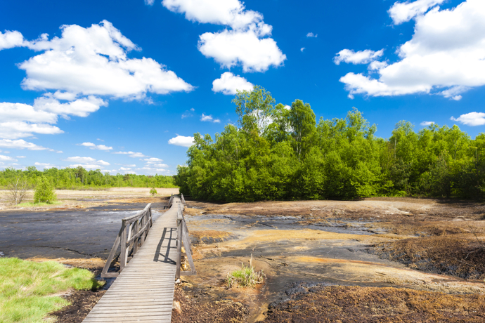Národní přírodní rezervace Soos – český Yellowstone nedaleko Františkových Lázní. Prazvláštní měsíční krajina, která vás učaruje!
Národní přírodní rezervace Soos – český Yellowstone nedaleko Františkových Lázní. Prazvláštní měsíční krajina, která vás učaruje!