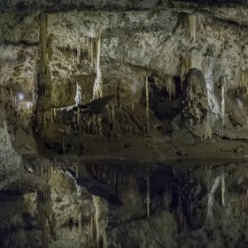 Punkevní jeskyně se nacházejí v severní části CHKO Moravský kras v Pustém žlebu.

