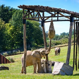 V posledních letech návštěvnost pravidelně přesahuje 600 tisíc lidí ročně. Po pražské zoo je tak druhou nejnavštěvovanější zoo z 15 zahrad v ČR. 
