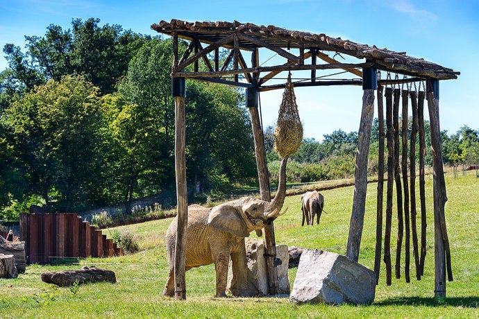 V posledních letech návštěvnost pravidelně přesahuje 600 tisíc lidí ročně. Po pražské zoo je tak druhou nejnavštěvovanější zoo z 15 zahrad v ČR.
V posledních letech návštěvnost pravidelně přesahuje 600 tisíc lidí ročně. Po pražské zoo je tak druhou nejnavštěvovanější zoo z 15 zahrad v ČR.