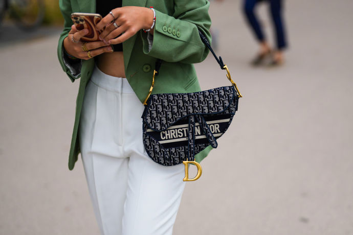 Dior Saddle
