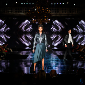 Schwarzkopf Elite Model Look