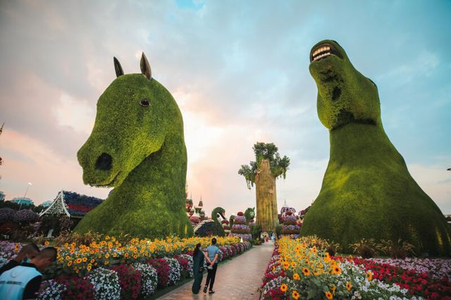 Miracle Garden