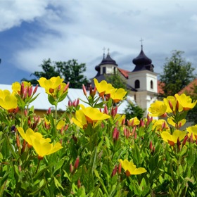 Záhony slunomilné  pupaly
