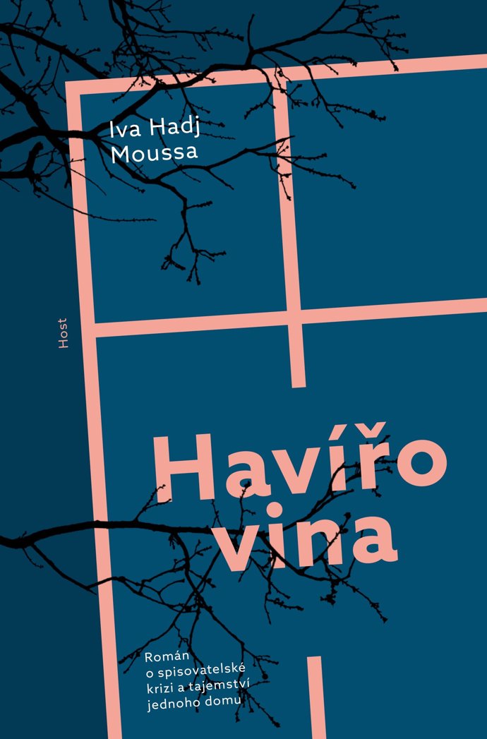 Havířovina je nevzhledný a zanedbaný dům v malé vesnici. Povídá se o něm, že přitahuje špatné věci — lidé tu umírají nebo přinášejí neštěstí ostatním. A kdoví, možná se tu dokonce objevují duchové…Nejen to se pokusí objasnit hlavní hrdinka románu Havířovina. 
