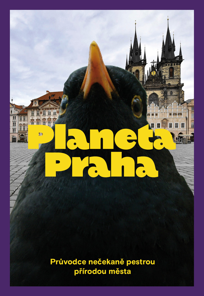 Nestihli jste snímek Planeta Praha v kinech? Začtěte se do jeho knižní podoby, která vám potvrdí, že ve městě to žije! Krajina za hranicemi města je dnes často nudná a jednotvárná. Možná tomu nebudete věřit, ale svou rozmanitostí a nevyzpytatelností je mnohem zajímavějším kusem přírody město, které se neustále mění a je překvapivě pestré. Pro mnohé živočichy a rostliny je tak daleko větší příležitostí.
