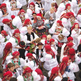 Vracovské hody
