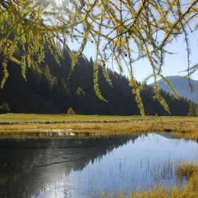 Lago Covel, Val di Sole

Také toto je snadný výlet, k tomuto malému jezeru obklopenému pastvinami vás zavede asi dvě hodiny trvající cesta s minimálním převýšením. Po dosažení cíle se můžete projít k vodopádu Covel, který je kousek od jezera, a ochutnat kozí sýr Malga Covel.
