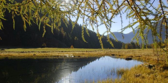Lago Covel, Val di Sole
Také toto je snadný výlet, k tomuto malému jezeru obklopenému pastvinami vás zavede asi dvě hodiny trvající cesta s minimálním převýšením. Po dosažení cíle se můžete projít k vodopádu Covel, který je kousek od jezera, a ochutnat kozí sýr Malga Covel.
Lago Covel, Val di Sole
Také toto je snadný výlet, k tomuto malému jezeru obklopenému pastvinami vás zavede asi dvě hodiny trvající cesta s minimálním převýšením. Po dosažení cíle se můžete projít k vodopádu Covel, který je kousek od jezera, a ochutnat kozí sýr Malga Covel.