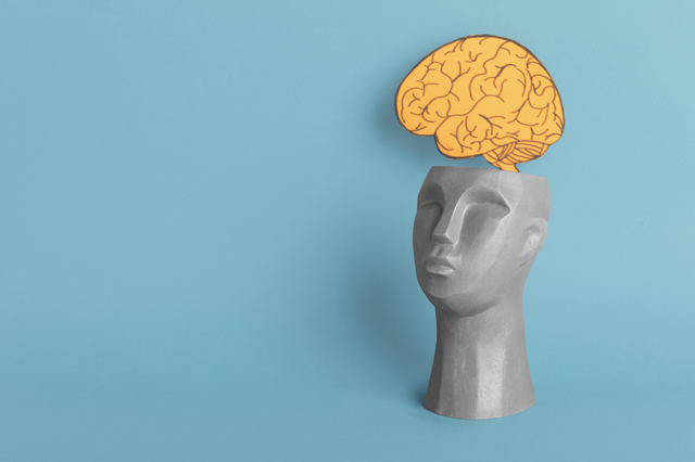 Brain