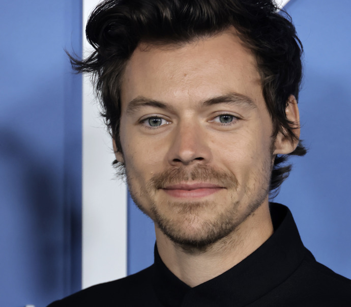 Harry má pouze drobný knír, který ovšem perfektně ladí k jeho vzhledu.
