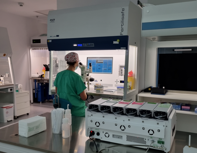 Laboratoř IVF 