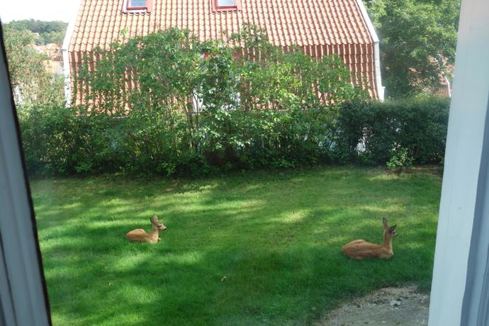 Zasazený do zahrady plné rododendronů a dalších kvetoucích keřů, odkazuje svým stylem na estetiku národního romantismu. Zveme vás na exkluzivní návštěvu staleté vily, která vypráví pozoruhodné příběhy.
Zasazený do zahrady plné rododendronů a dalších kvetoucích keřů, odkazuje svým stylem na estetiku národního romantismu. Zveme vás na exkluzivní návštěvu staleté vily, která vypráví pozoruhodné příběhy.