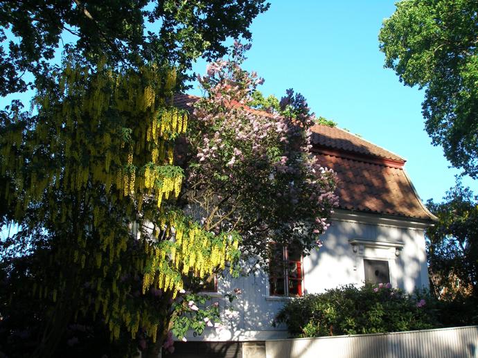 Zasazený do zahrady plné rododendronů a dalších kvetoucích keřů, odkazuje svým stylem na estetiku národního romantismu. Zveme vás na exkluzivní návštěvu staleté vily, která vypráví pozoruhodné příběhy.
Zasazený do zahrady plné rododendronů a dalších kvetoucích keřů, odkazuje svým stylem na estetiku národního romantismu. Zveme vás na exkluzivní návštěvu staleté vily, která vypráví pozoruhodné příběhy.