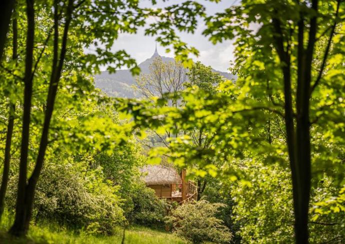 Treehouse Amálka
Treehouse Amálka