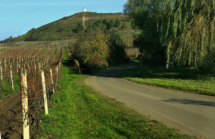 Toutéž cestou se dnes vydávají do vinic i výletníci a už 21 let mohou obdivovat novodobou rotundu.
