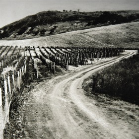 Dřív tudy mířili do vinic místní vinaři, ti se už roku 1945 rozhodli postavit na kopci kapličku.
