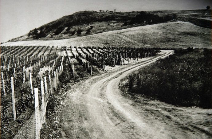 Dřív tudy mířili do vinic místní vinaři, ti se už roku 1945 rozhodli postavit na kopci kapličku.
