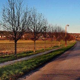  Pěší turisté, jichž tu jako cyklistů přibylo, ale mohou dnes po chodníčku.
