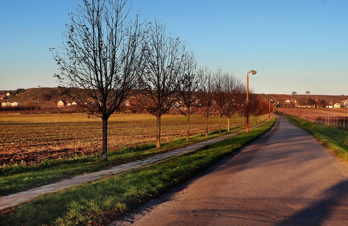  Pěší turisté, jichž tu jako cyklistů přibylo, ale mohou dnes po chodníčku.
