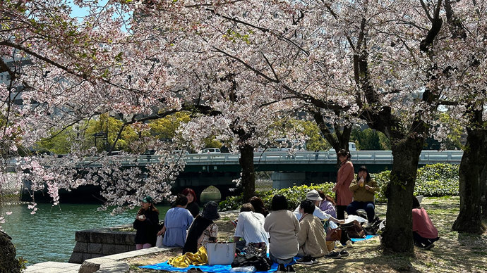 VŮNĚ SAKUR

Svátek kvetoucích sakur Hanami 2023 se uskuteční v sobotu 22. dubna v parku Hanspaulka na Praze 6. Od 10 do 17 hodin zažijete Hanami v jeho autentické podobě, tak jak si ho užívá celé Japonsko právě v těchto dnech. Už čtvrtý ročník vám přináší Česko-japonská společnost. 

„Hanami, doslova pozorování květů, bylo dříve doménou šlechty. Když rozkvetly sakury, nastal čas zasít rýži. A proto se moudří panovníci rozhodli k těmto oslavám přizvat i rolníky a prostý lid. Bez ohledu na původ či zaměstnání se všichni společně radovali z příchodu jara a čerpali z té krásy sílu a naději,“ přibližuje svátek organizátorka Sabina Lukášová, manažerka Česko-japonské společnosti.

 
