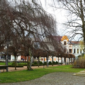 Galerie: Proměny Bělé pod Bezdězem