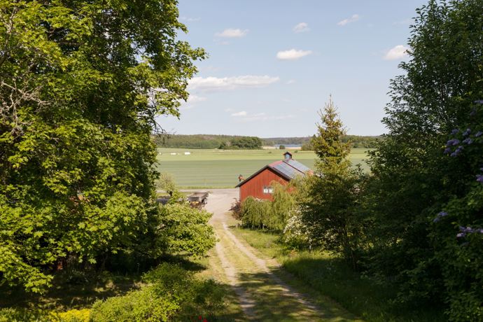 Kouzelný červený domek. 
