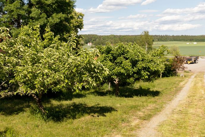 Kouzelný červený domek. 
