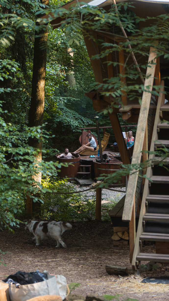 Treehouse Zvičina
