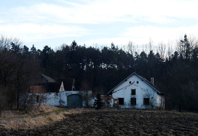 Branišovský les
