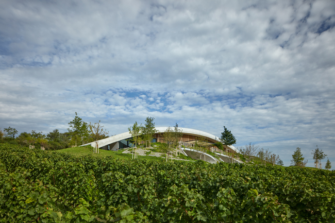 Vinařství Gurdau bylo založeno v roce 2012 na „zelené louce“ a ještě téhož roku byly vysázeny první vinice na svazích nad obcí Kurdějov. O výstavbě vinařského domu se začalo uvažovat o čtyři roky později. V loňském roce vyrostl fascinující objekt, který rozhodně stojí za pozornost. 
