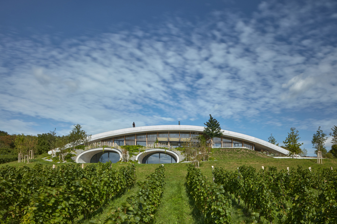 Vinařství Gurdau bylo založeno v roce 2012 na „zelené louce“ a ještě téhož roku byly vysázeny první vinice na svazích nad obcí Kurdějov. O výstavbě vinařského domu se začalo uvažovat o čtyři roky později. V loňském roce vyrostl fascinující objekt, který rozhodně stojí za pozornost. 
