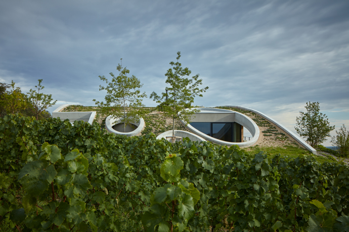 Vinařství Gurdau bylo založeno v roce 2012 na „zelené louce“ a ještě téhož roku byly vysázeny první vinice na svazích nad obcí Kurdějov. O výstavbě vinařského domu se začalo uvažovat o čtyři roky později. V loňském roce vyrostl fascinující objekt, který rozhodně stojí za pozornost. 

