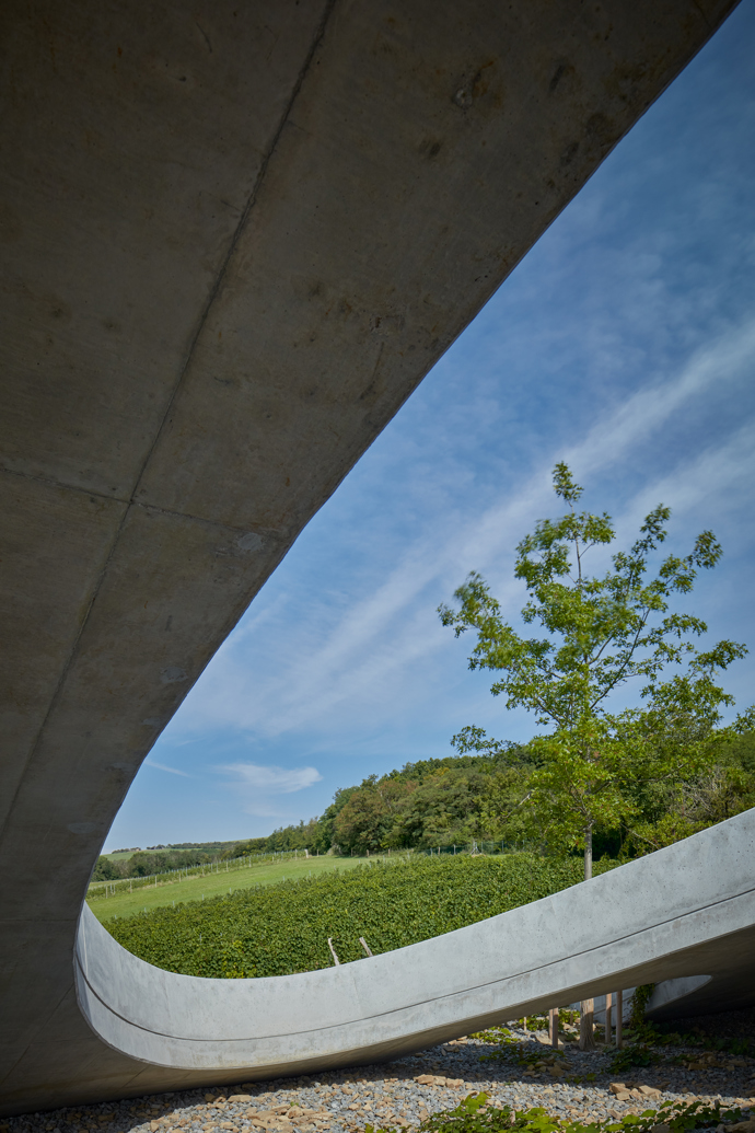 Vinařství Gurdau bylo založeno v roce 2012 na „zelené louce“ a ještě téhož roku byly vysázeny první vinice na svazích nad obcí Kurdějov. O výstavbě vinařského domu se začalo uvažovat o čtyři roky později. V loňském roce vyrostl fascinující objekt, který rozhodně stojí za pozornost. 
