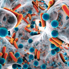 Galerie: Proč na rýmu nebrat antibiotika? 