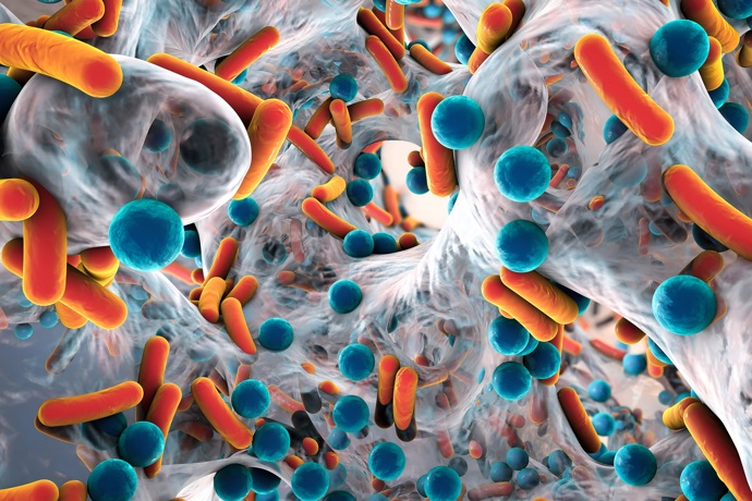 Galerie: Proč na rýmu nebrat antibiotika? Galerie: Proč na rýmu nebrat antibiotika?
