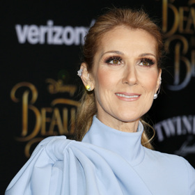 Celine Dion poprvé otěhotněla díky metodě in vitro a v roce 2001 se jí narodil první syn René-Charles Angélil. Po bolestivém potratu v roce 2009 oznámila, že čeká dvojčata Eddyho a Nelsona. V roce 2010, ve svých 42 letech, Celine tato dvojčata porodila. 

