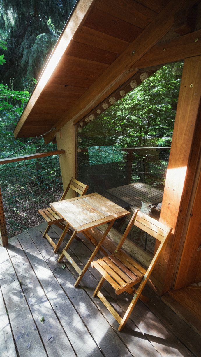 Treehouse Zvičina