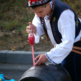 Valtické vinobraní