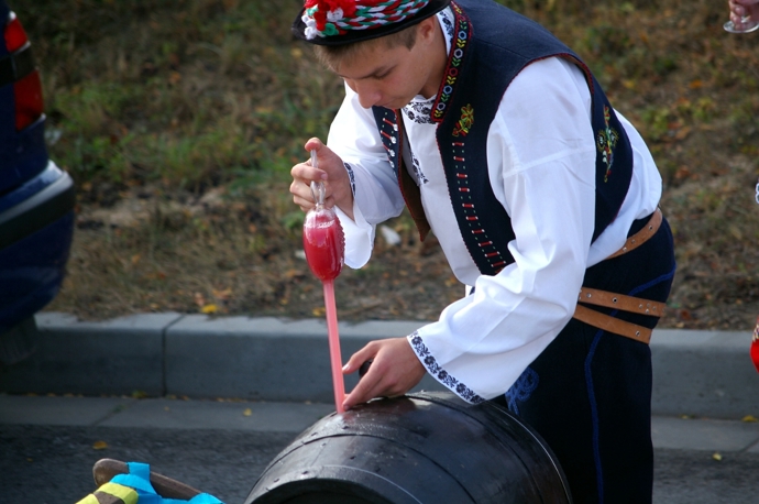 Valtické vinobraní Valtické vinobraní