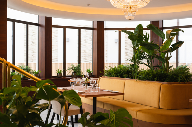 Alcron Restaurantu