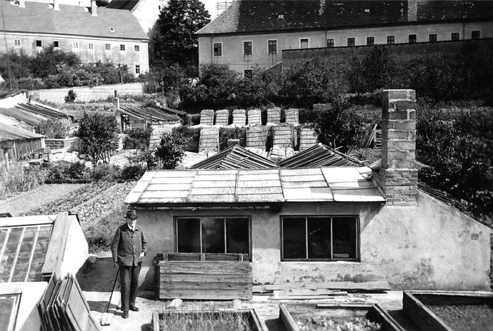 Galerie: Oživená zahrada plná barev Galerie: Oživená zahrada plná barev