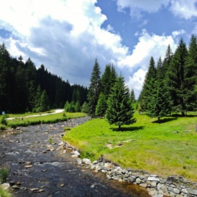 Galerie: Poznejte kraj lesů aneb I to je Šumava